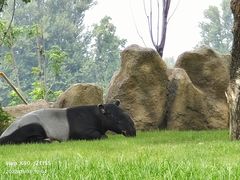 -北京野生动物园
