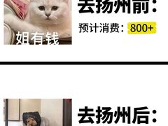 -陈记菜馆·非遗淮扬菜(东关街教场店)