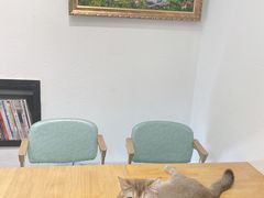 -猫色咖啡·猫咖