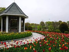 -上海鲜花港