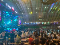 -第35届青岛国际啤酒节