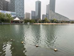 -天鹅湖体育公园