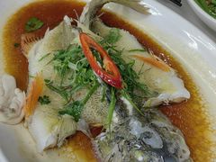 西江河鲈鱼-八仔大富楼·河鲜(西江店)