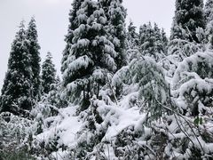 景点-九峰山