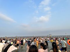 -碧海金沙