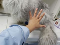 -太原东方动物医院(小店分院)