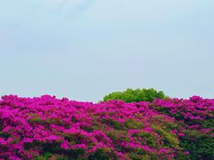 -长阳创谷
