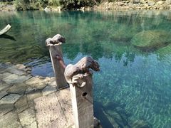 -石台牯牛降景区