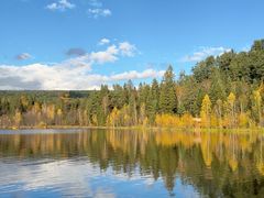 -五营红松林海景区