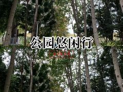 -金砂公园