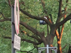 -原怡园面馆(拙政园店)