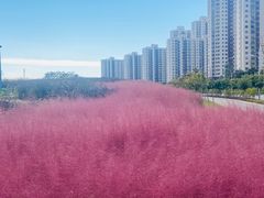 -尚贤河湿地