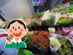 -溪岸路花鸟市场