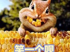-顺发饮食店(景泰西六巷店)