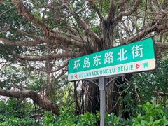 -湄洲岛