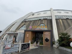 -丁老爷子苏香圆