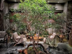 -森SPA·泰式按摩·精油Massage(宝安中心店)