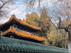 -北京国子监胡同