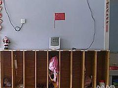 -上海浦东新区民办小白鸽幼儿园