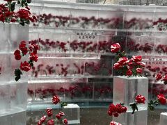 -万达广场(龙湖店)