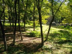 -长白岛森林公园