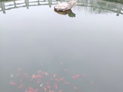 -白马涧龙池景区