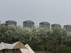 -泰丰公园