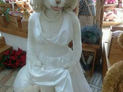 -济州岛泰迪熊博物馆