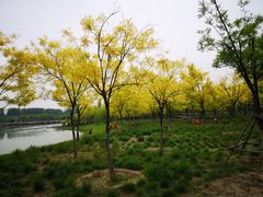 -东郊湿地公园