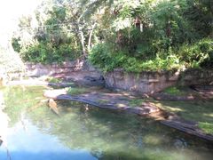 -奥兰多迪士尼动物王国乐园