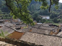 -杨家堂村
