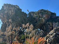 -奥兰多迪士尼动物王国乐园