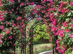 -上海交通大学(闵行校区)