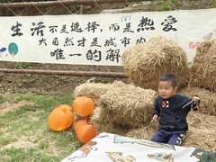 -欢乐松鼠谷