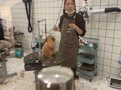 -BABIT巴比特宠物(MOMOPARK店)