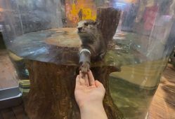 -Zoolung Zoolung动物主题公园(海信广场店)