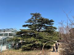 -国家植物园南园