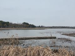 -春花秋色城市公园