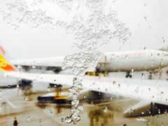 -海南海航航空信息系统公司