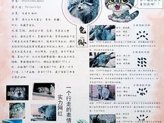 -青藏高原野生动物园