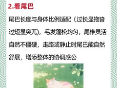 -申普宠物医院·心脏介入·心血管微创(总院)