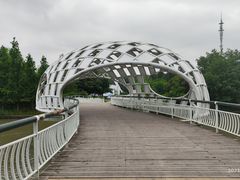 -同里国家湿地公园