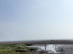 -启东黄金海滩景区