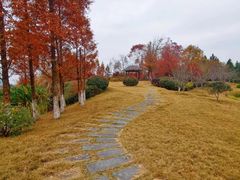 -径山花海