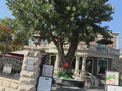 -天津五大道文化旅游区