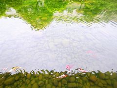 -泸州老窖景区