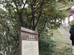 -幕燕滨江·燕子矶公园