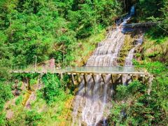 -九龙江国家森林公园