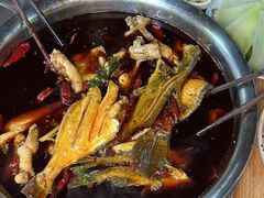 -青山青豆花·笑禅豆腐鱼(黄泥塝店)