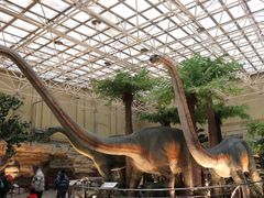 -国家自然博物馆